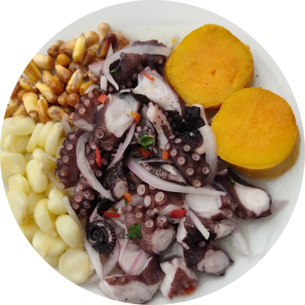 Ceviche de pulpo